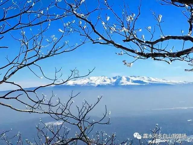 海口：符合要求的人才购买商品住房享受本地居民同等待遇