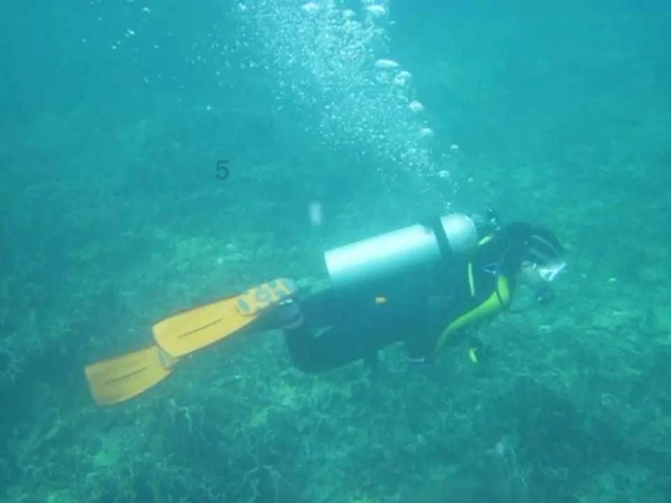 御神决
