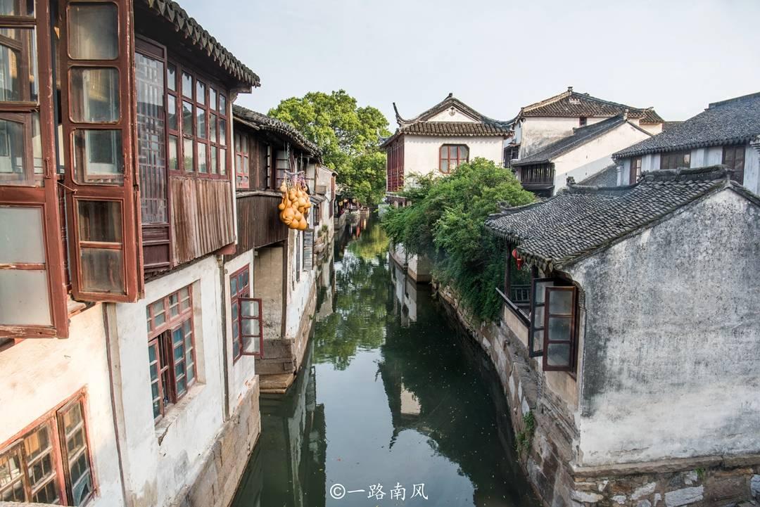 五彩鹦鹉救援