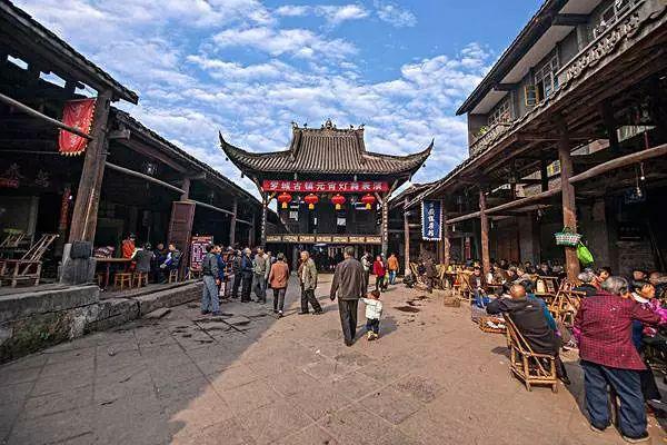 动物帮帮忙保卫家园