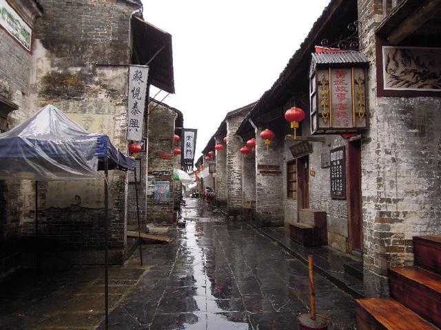 逃离棕榈树森林